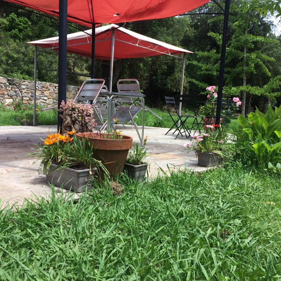 Ernella Hotel Aleria  Ngoại thất bức ảnh
